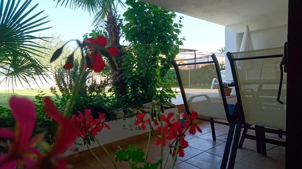 Apartment Devcic Poreč Dış mekan fotoğraf