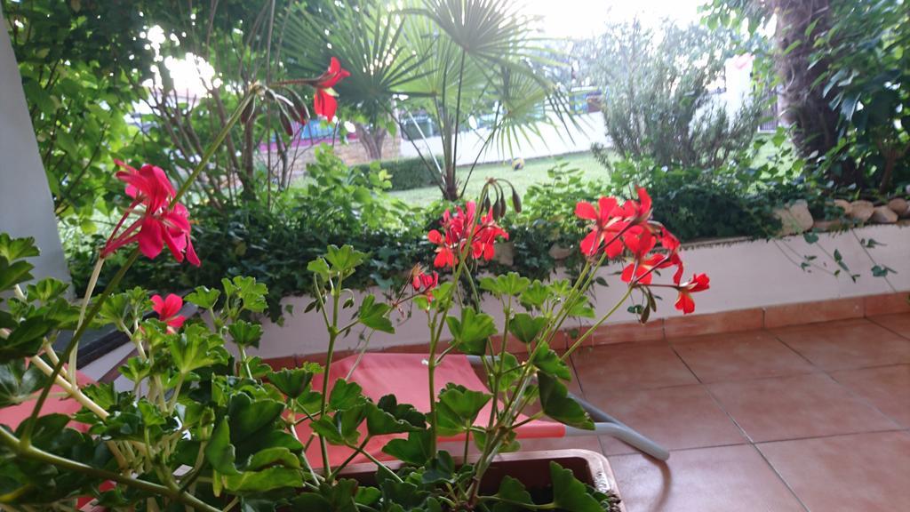 Apartment Devcic Poreč Dış mekan fotoğraf